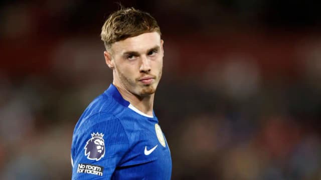 Palmer fractures toe.